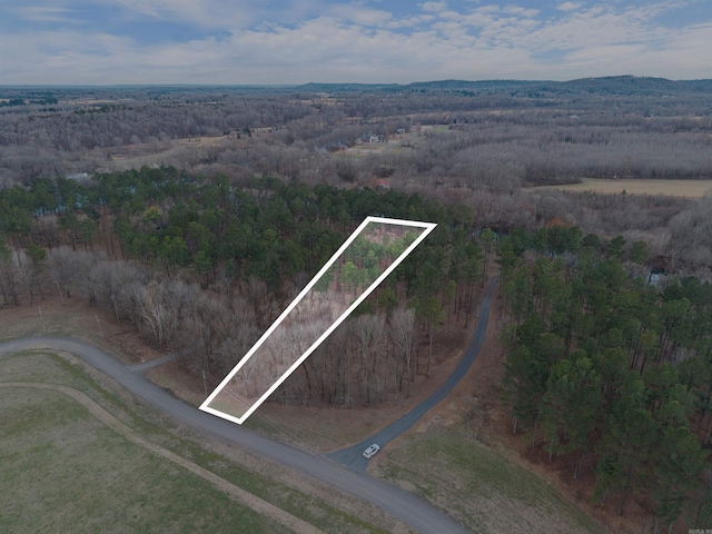 Listing photo 3 for 425 Sunshine Ln, Pangburn AR 72121