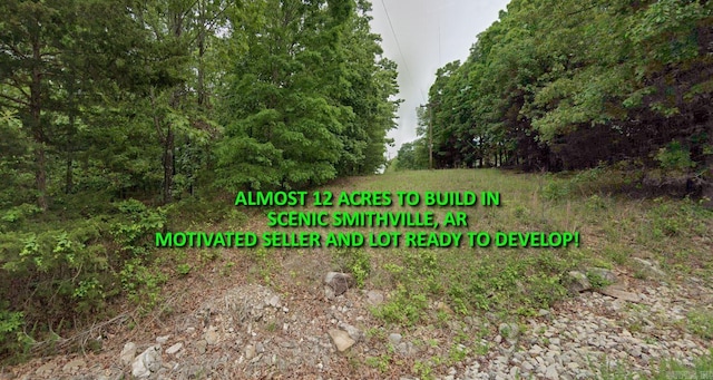 Address Not Disclosed, Smithville AR, 72466 land for sale