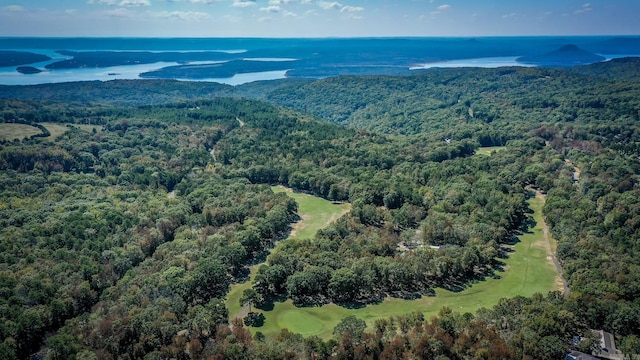 bird's eye view featuring a water view and a view of trees