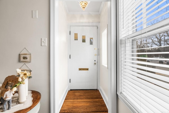 entryway featuring baseboards, dark wood-type flooring, and crown molding