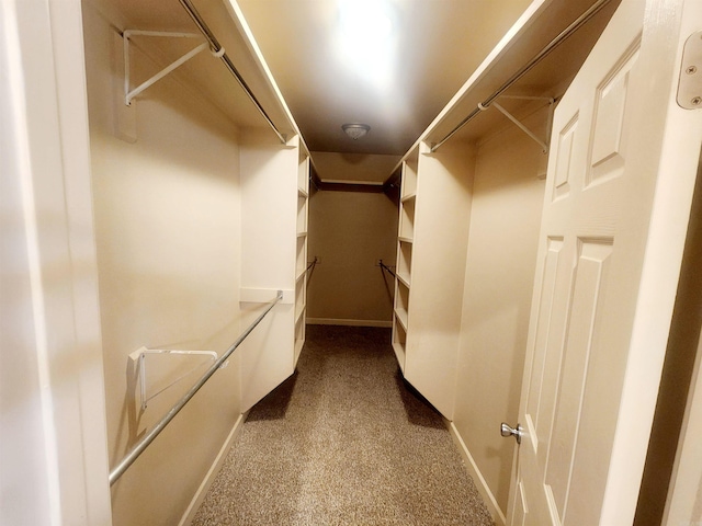 walk in closet featuring dark colored carpet