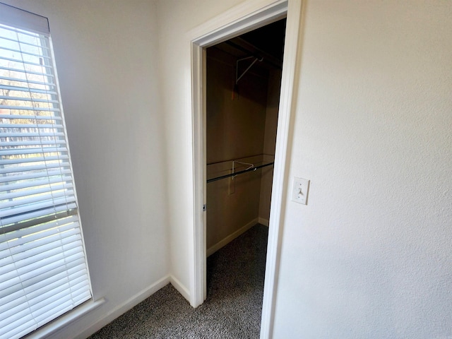 hall with baseboards and carpet flooring