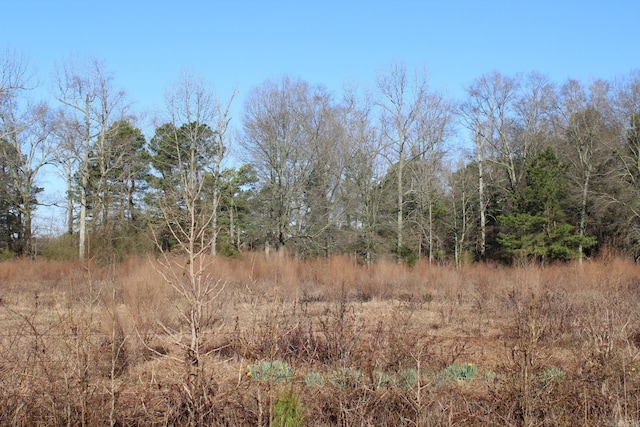 view of local wilderness