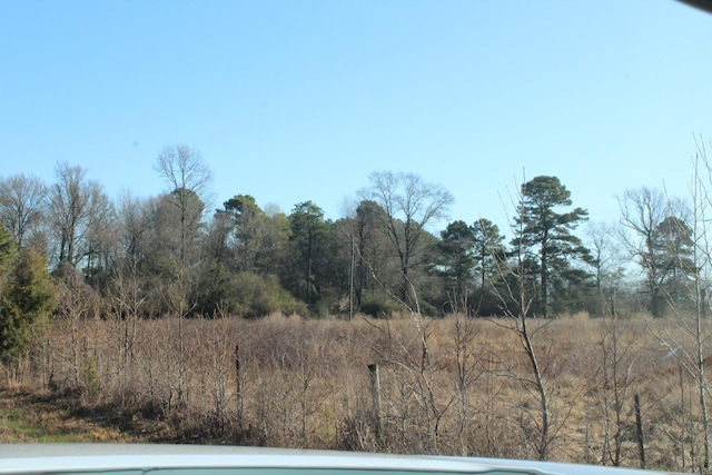 view of local wilderness