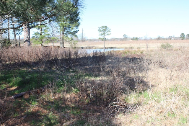 view of local wilderness featuring a water view