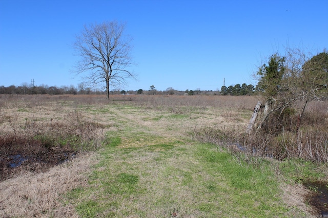 view of nature featuring a rural view