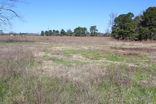 view of nature featuring a rural view