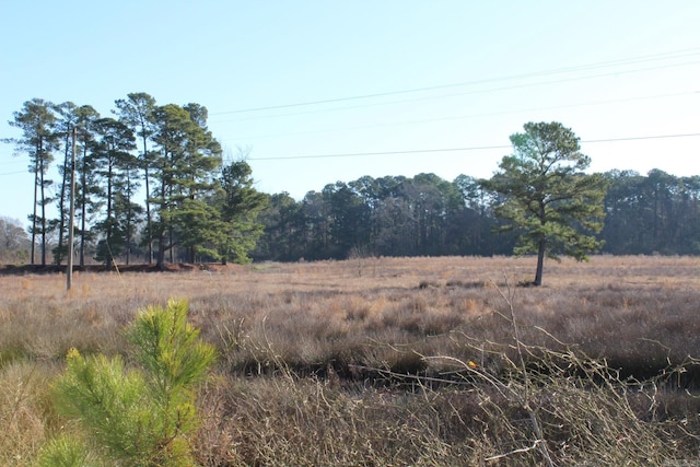 view of local wilderness