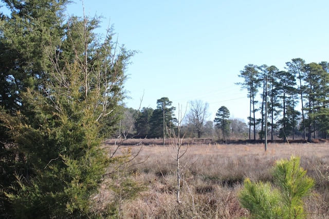 view of local wilderness