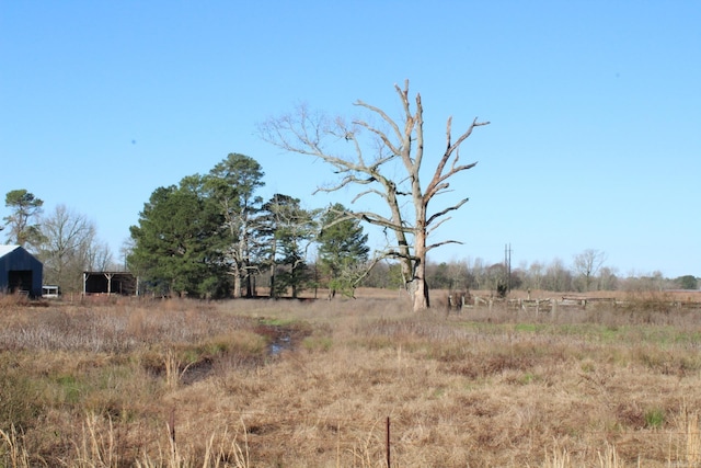 view of local wilderness featuring a rural view