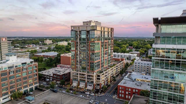 property's view of city