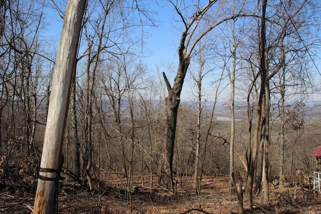 view of nature featuring a forest view