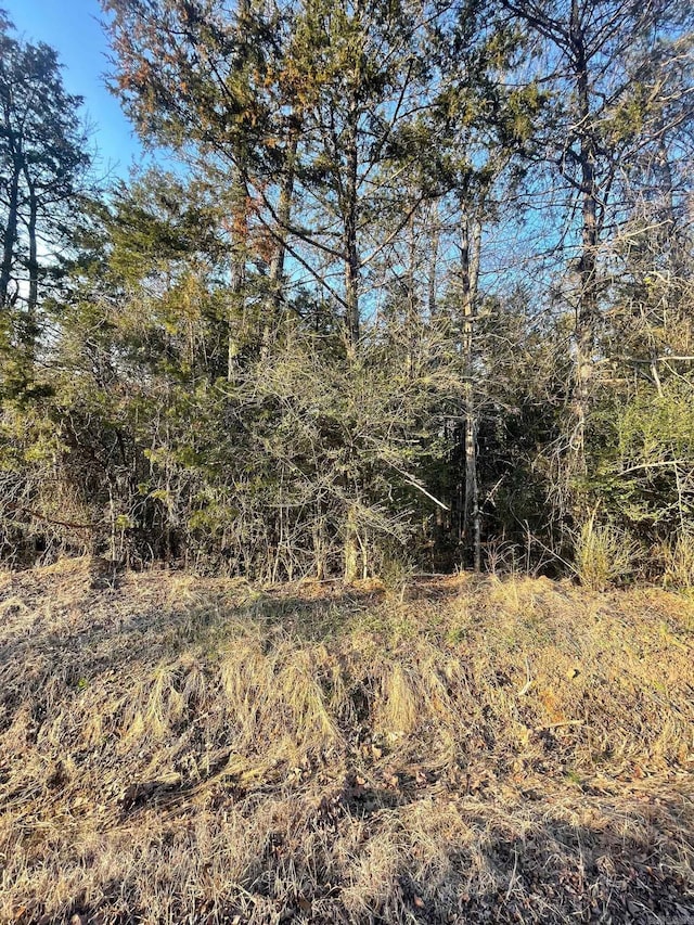 00 Heidi Ln, Shirley AR, 72153 land for sale