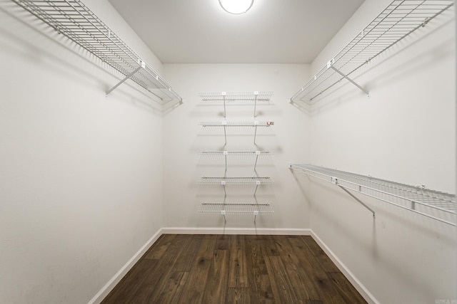 walk in closet featuring wood finished floors