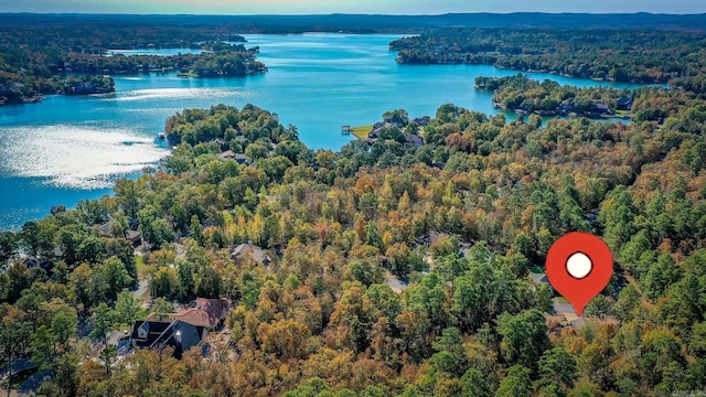 birds eye view of property with a view of trees and a water view