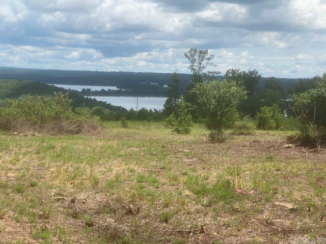 Listing photo 3 for LOT6 Donham Dr, Edgemont AR 72044