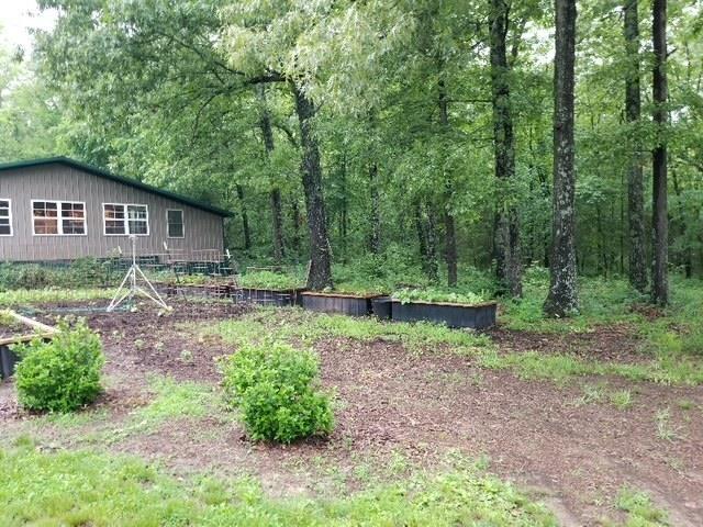 view of yard with a view of trees