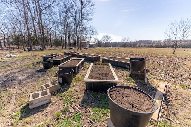 view of yard featuring a rural view and a vegetable garden