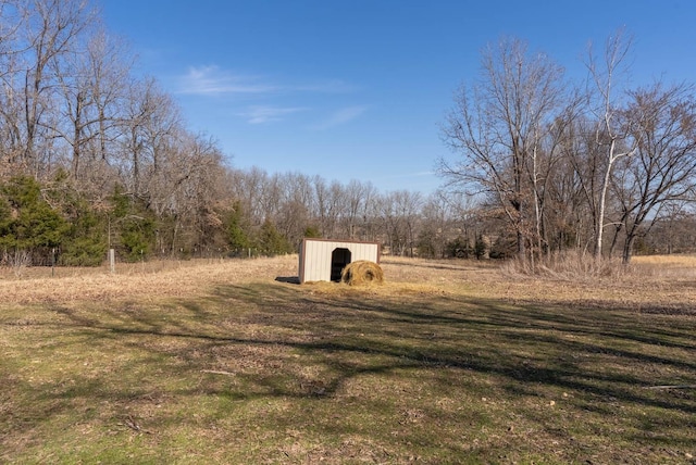 view of yard with an outbuilding