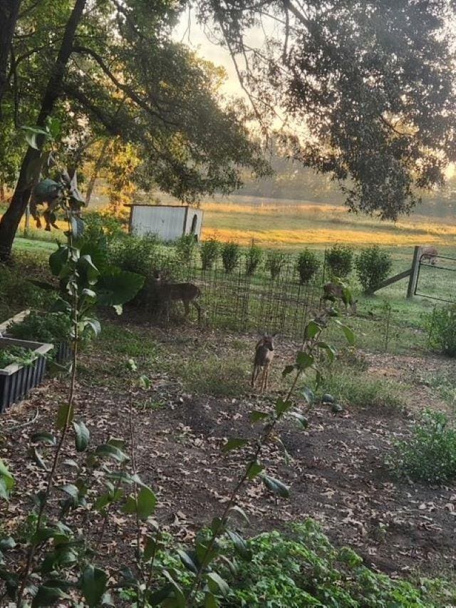 view of yard with a rural view, an outbuilding, and fence