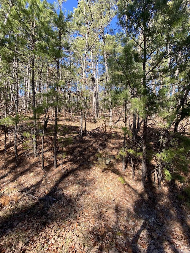 Address Not Disclosed, Hot Springs Village AR, 71909 land for sale