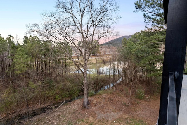 property view of water with a mountain view