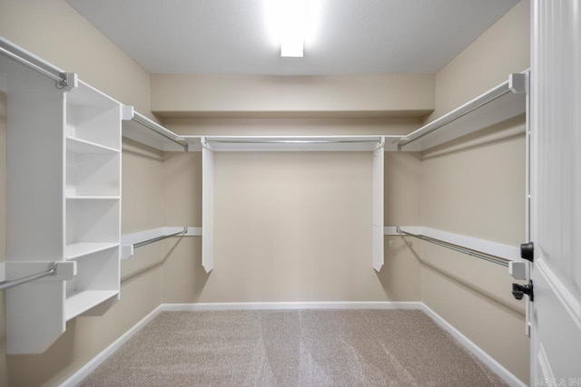 spacious closet with carpet floors