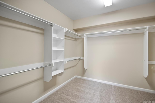 walk in closet featuring carpet