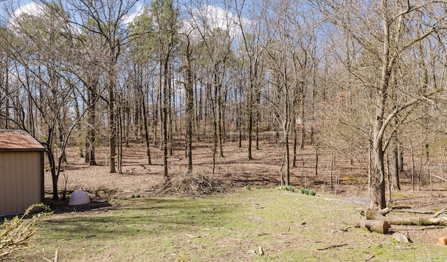 view of yard with an outbuilding and a shed