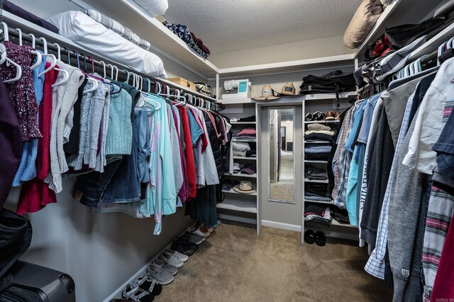 walk in closet featuring carpet floors