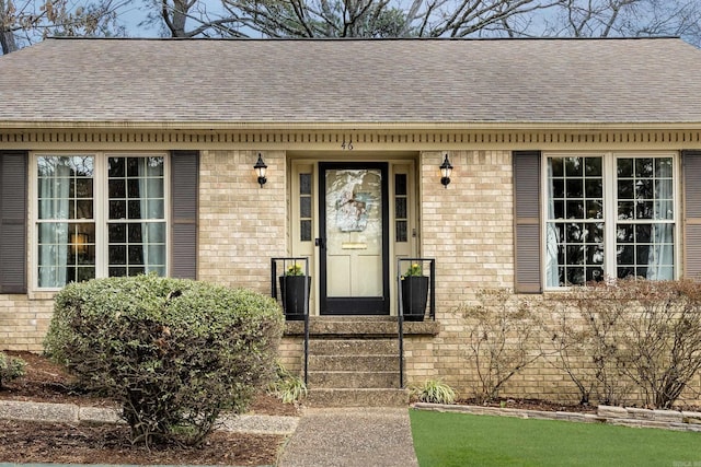 doorway to property with brick siding and a shingled roof