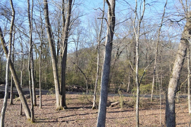 view of local wilderness featuring a forest view