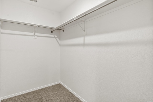 spacious closet with carpet flooring