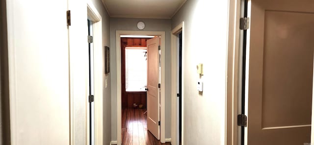 hall with crown molding and dark wood-style flooring