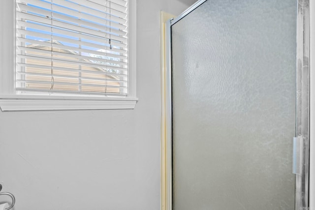 bathroom with a stall shower