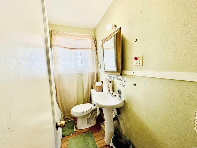 bathroom featuring a sink, toilet, and wood finished floors