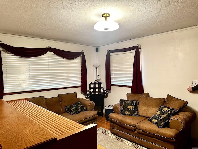 living room with a textured ceiling and wood finished floors