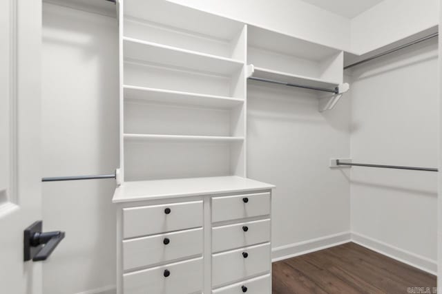 spacious closet featuring dark wood-style floors