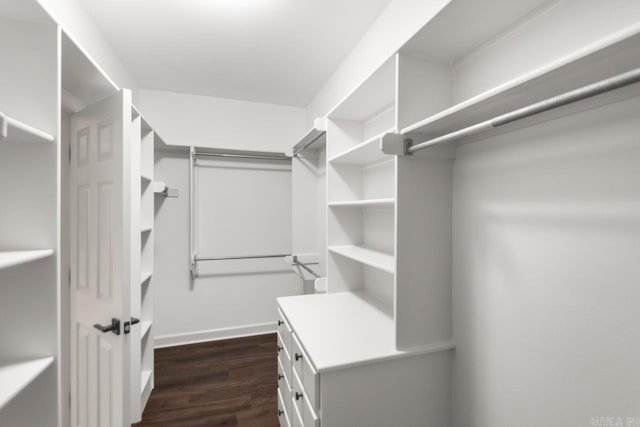 spacious closet featuring dark wood finished floors