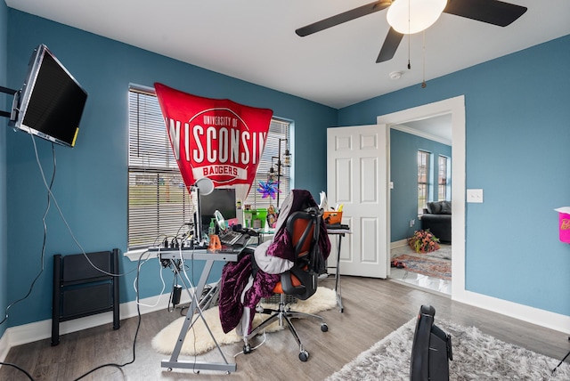 office space featuring ceiling fan, baseboards, and wood finished floors