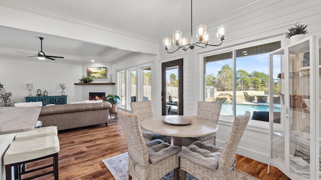 dining area featuring a tray ceiling, ornamental molding, ceiling fan with notable chandelier, a fireplace, and wood finished floors