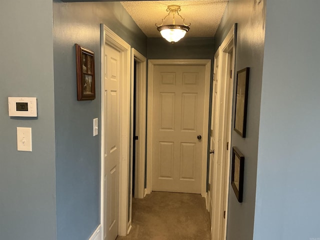 corridor with carpet floors and a textured ceiling