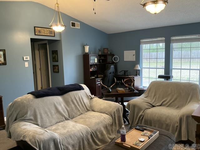 living area featuring visible vents and lofted ceiling