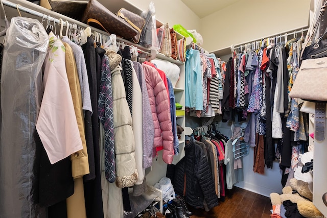 walk in closet featuring wood finished floors