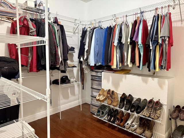 spacious closet featuring wood finished floors