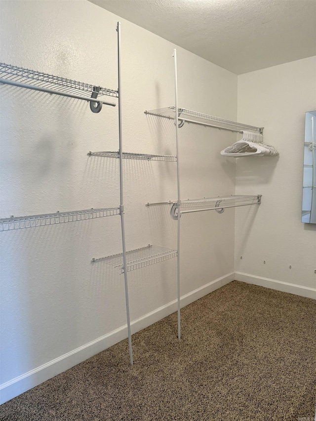 spacious closet featuring carpet floors