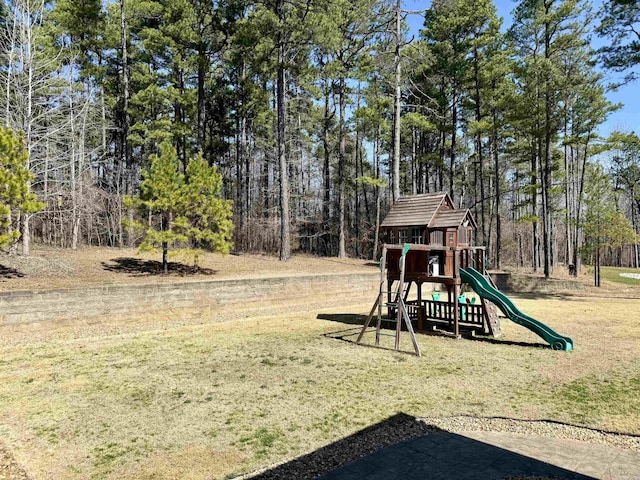 view of jungle gym