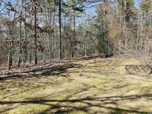 view of nature featuring a wooded view