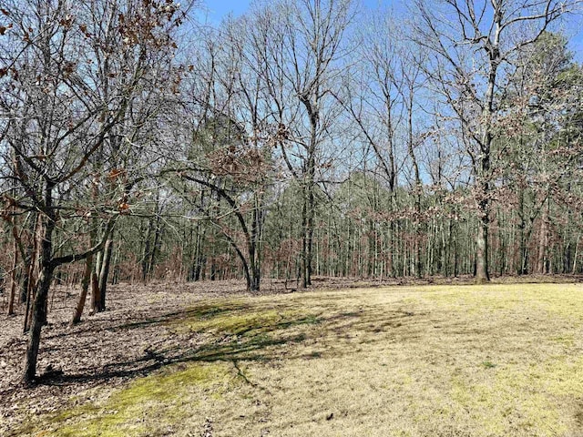 view of local wilderness with a forest view