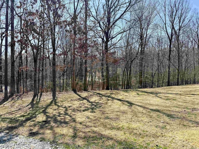 view of yard with a forest view